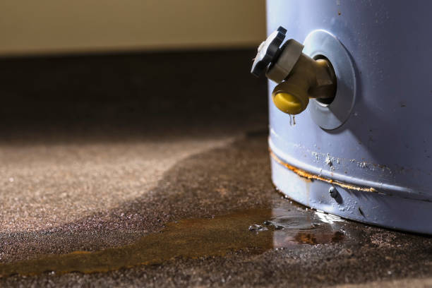 Best 24-hour water damage restoration  in Kenosha, WI