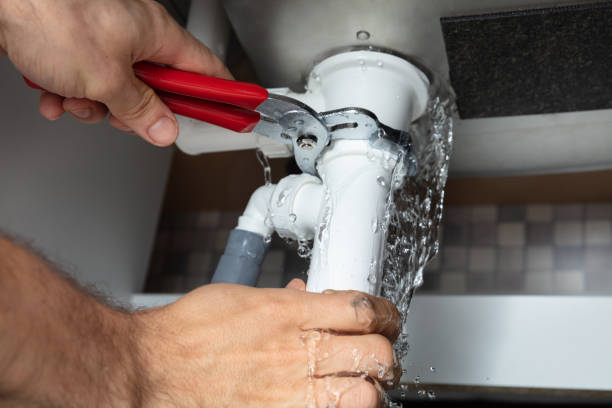 Best Flooded house restoration  in Kenosha, WI