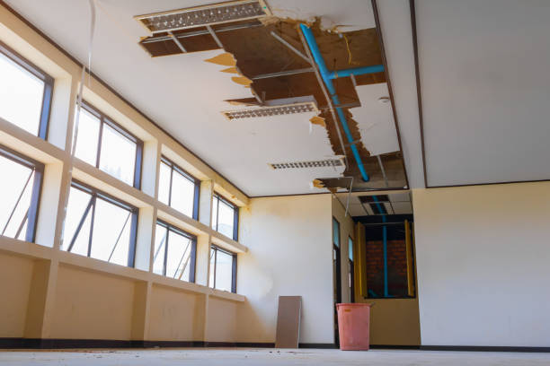 Best Water damage restoration process  in Kenosha, WI