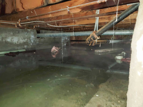 Best Water damage restoration cost  in Kenosha, WI