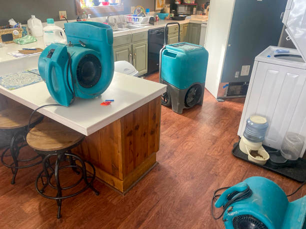 Best Professional water damage repair  in Kenosha, WI