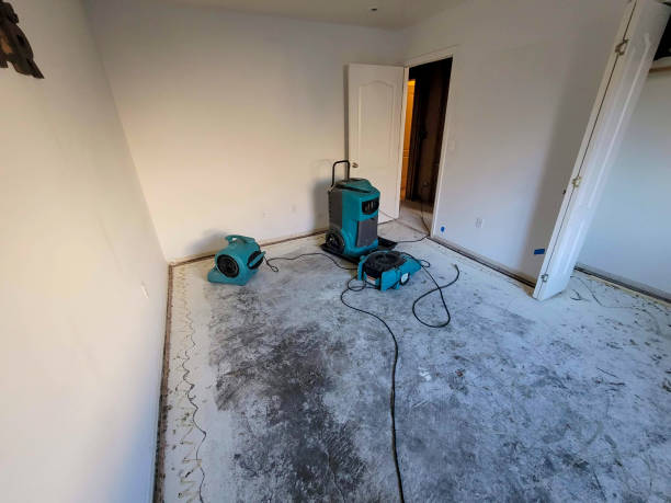 Best 24/7 water damage repair  in Kenosha, WI