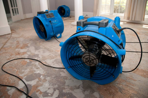 Best Water damage restoration experts  in Kenosha, WI