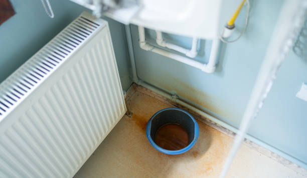 Best Water damage cleanup near me  in Kenosha, WI