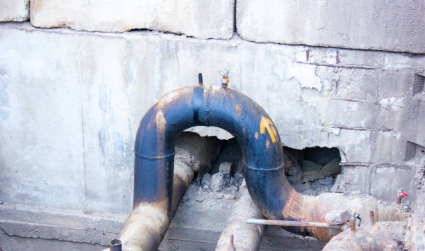 Best Carpet water damage restoration  in Kenosha, WI