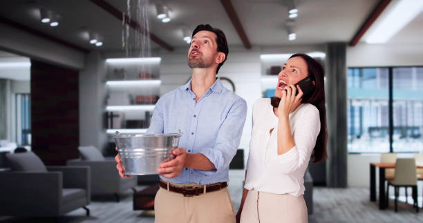 Best Commercial water damage restoration  in Kenosha, WI