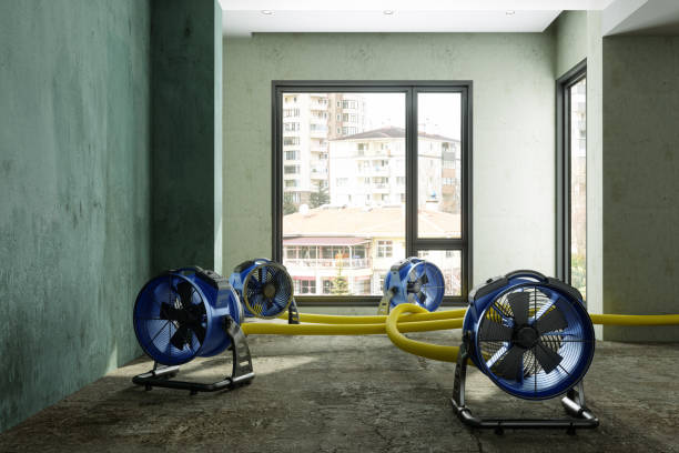 Water damage restoration process in Kenosha, WI